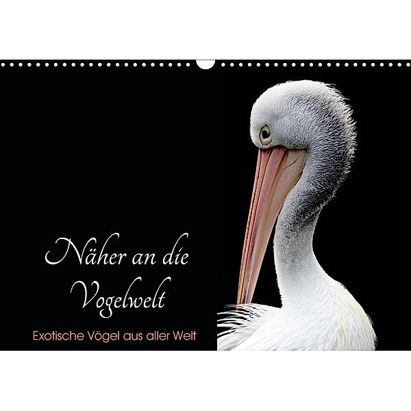 Näher an die Vogelwelt - Exotische Vögel aus aller Welt (Wandkalender 2021 DIN A3 quer), Card-Photo