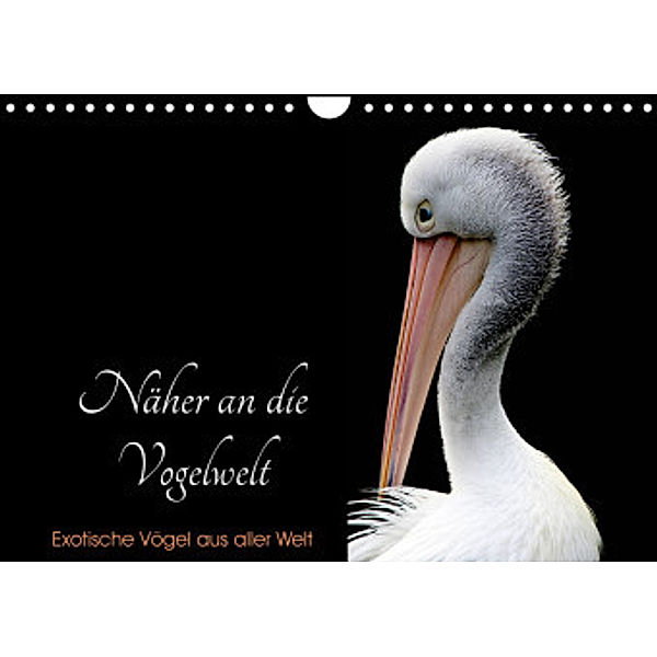 Näher an die Vogelwelt - Exotische Vögel aus aller Welt (Wandkalender 2022 DIN A4 quer), Card-Photo