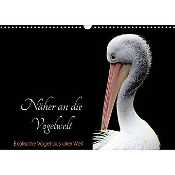 Näher an die Vogelwelt - Exotische Vögel aus aller Welt (Wandkalender 2022 DIN A3 quer), Card-Photo