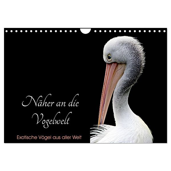 Näher an die Vogelwelt - Exotische Vögel aus aller Welt (Wandkalender 2024 DIN A4 quer), CALVENDO Monatskalender, Card-Photo