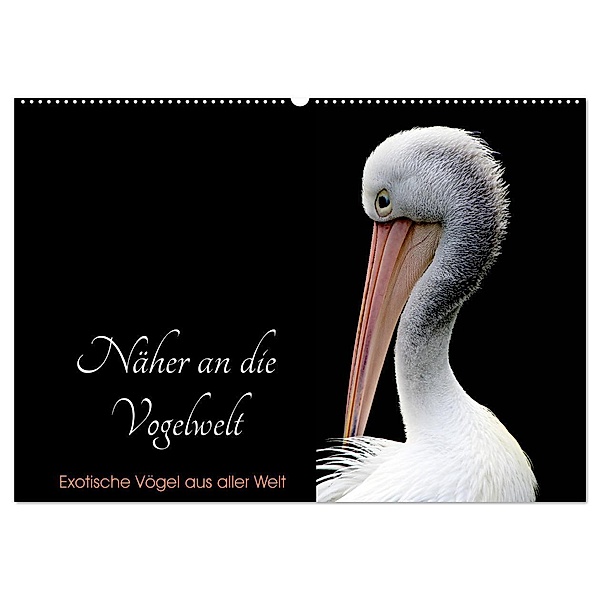 Näher an die Vogelwelt - Exotische Vögel aus aller Welt (Wandkalender 2024 DIN A2 quer), CALVENDO Monatskalender, Card-Photo