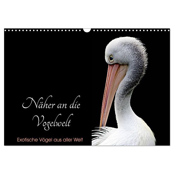 Näher an die Vogelwelt - Exotische Vögel aus aller Welt (Wandkalender 2025 DIN A3 quer), CALVENDO Monatskalender, Calvendo, Card-Photo