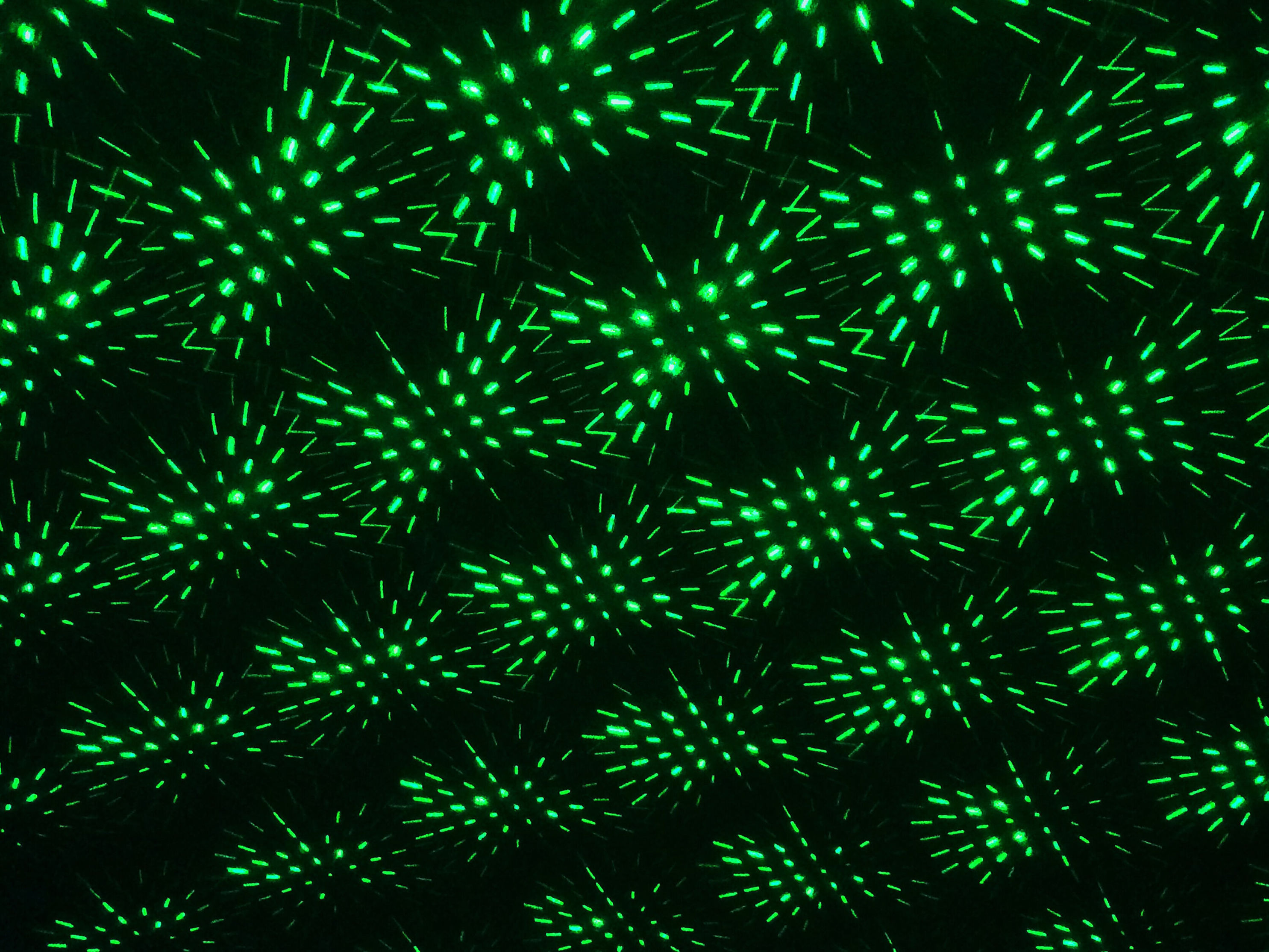 Projektor m. bunt Laser-Außenerdspieß Näve Leuchten Farbe: