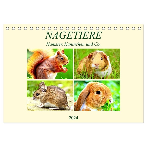 Nagetiere. Hamster, Kaninchen und Co. (Tischkalender 2024 DIN A5 quer), CALVENDO Monatskalender, Rose Hurley