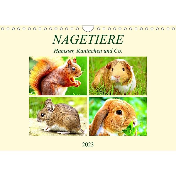 Nagetiere. Hamster, Kaninchen und Co. (Wandkalender 2023 DIN A4 quer), Rose Hurley
