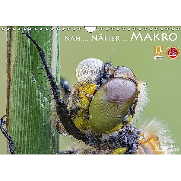 Nah ... Näher ... MAKRO (Wandkalender immerwährend DIN A4 quer), Sandra Malz