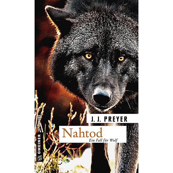 Nahtod / Journalist Christian Wolf Bd.3, J. J. Preyer