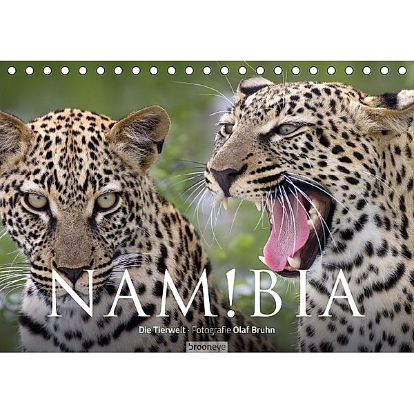 Namibia - Die Tierwelt (Tischkalender 2018 DIN A5 quer), Olaf Bruhn