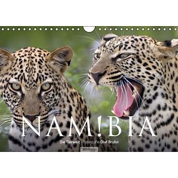 Namibia - Die Tierwelt (Wandkalender 2016 DIN A4 quer), Olaf Bruhn