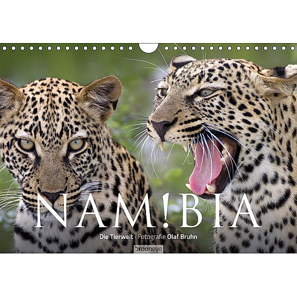 Namibia - Die Tierwelt (Wandkalender 2019 DIN A4 quer), Olaf Bruhn