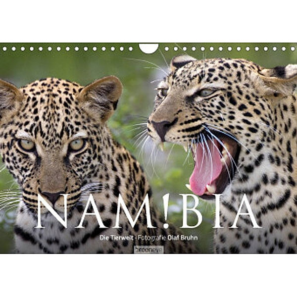 Namibia - Die Tierwelt (Wandkalender 2022 DIN A4 quer), Olaf Bruhn