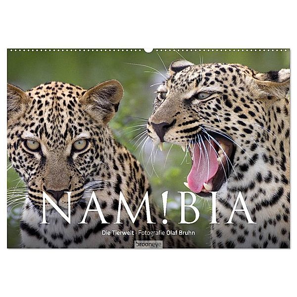 Namibia - Die Tierwelt (Wandkalender 2025 DIN A2 quer), CALVENDO Monatskalender, Calvendo, Olaf Bruhn