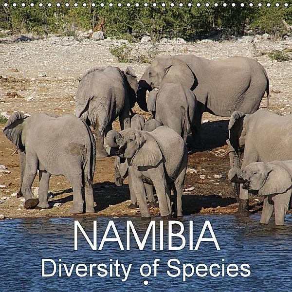 NAMIBIA Diversity of Species (Wall Calendar 2018 300 × 300 mm Square), Thomas Morper