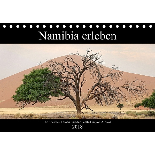 Namibia erleben (Tischkalender 2018 DIN A5 quer), Nicolette Berns