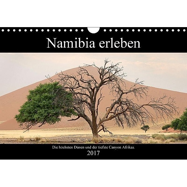 Namibia erleben (Wandkalender 2017 DIN A4 quer), Nicolette Berns
