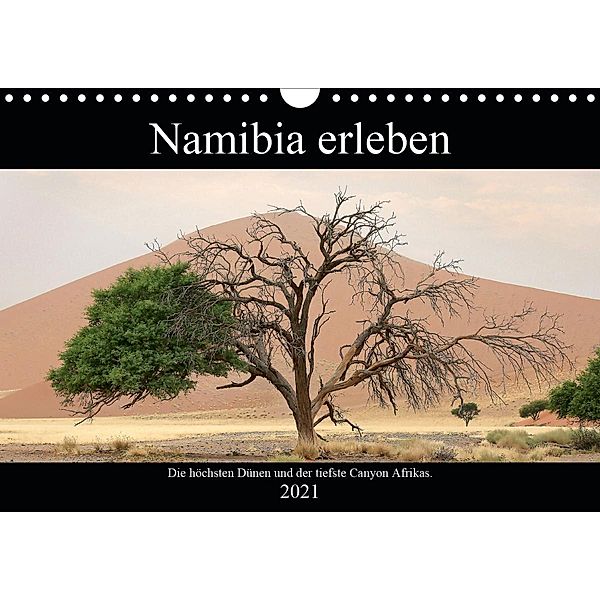 Namibia erleben (Wandkalender 2021 DIN A4 quer), Nicolette Berns