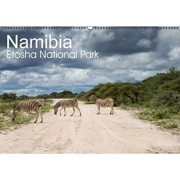 Namibia - Etosha National Park (Wandkalender 2015 DIN A2 quer), Juergen Schonnop