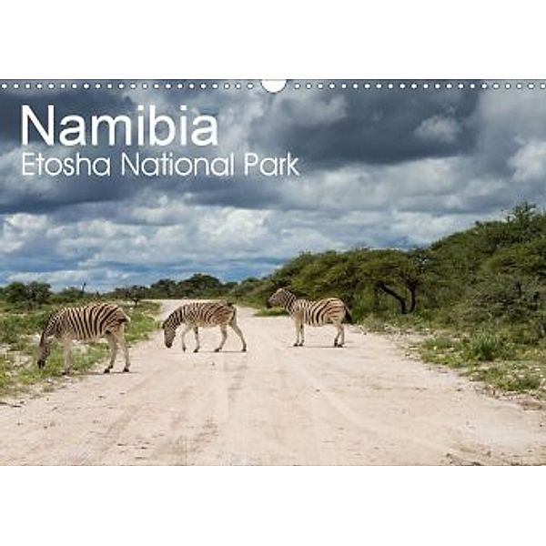 Namibia - Etosha National Park (Wandkalender 2020 DIN A3 quer), Juergen Schonnop