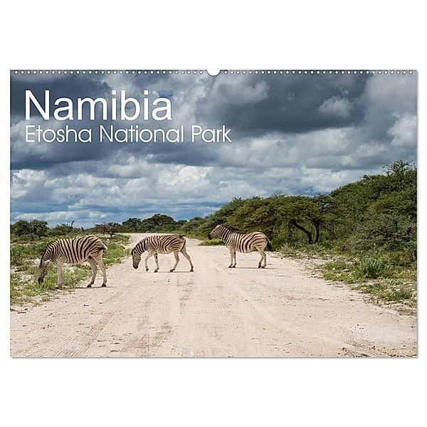 Namibia - Etosha National Park (Wandkalender 2024 DIN A2 quer), CALVENDO Monatskalender, Juergen Schonnop