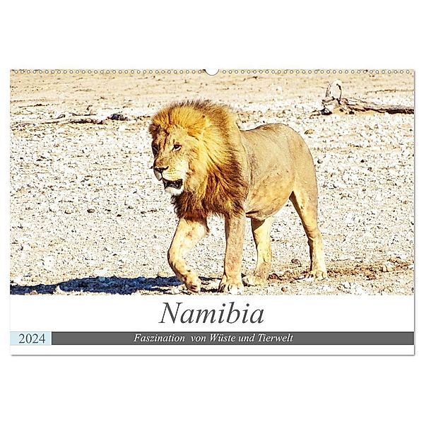 Namibia, Faszination Wüste und Tierwelt (Wandkalender 2024 DIN A2 quer), CALVENDO Monatskalender, Linde Kärcher