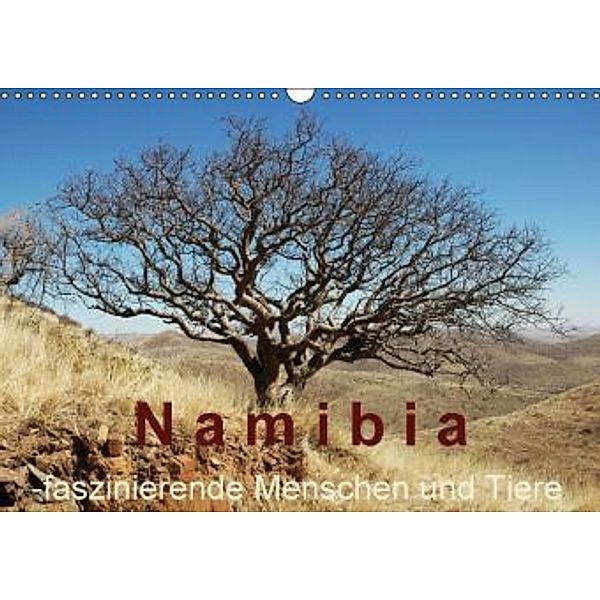 Namibia - faszinierende Menschen und Tiere (Wandkalender 2015 DIN A3 quer), Brigitte Dürr