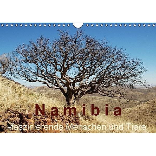 Namibia - faszinierende Menschen und Tiere (Wandkalender 2018 DIN A4 quer), Brigitte Dürr