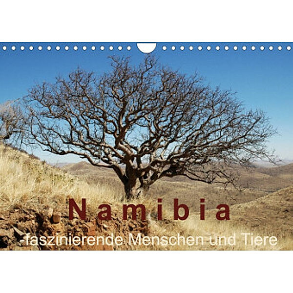 Namibia - faszinierende Menschen und Tiere (Wandkalender 2022 DIN A4 quer), Brigitte Dürr