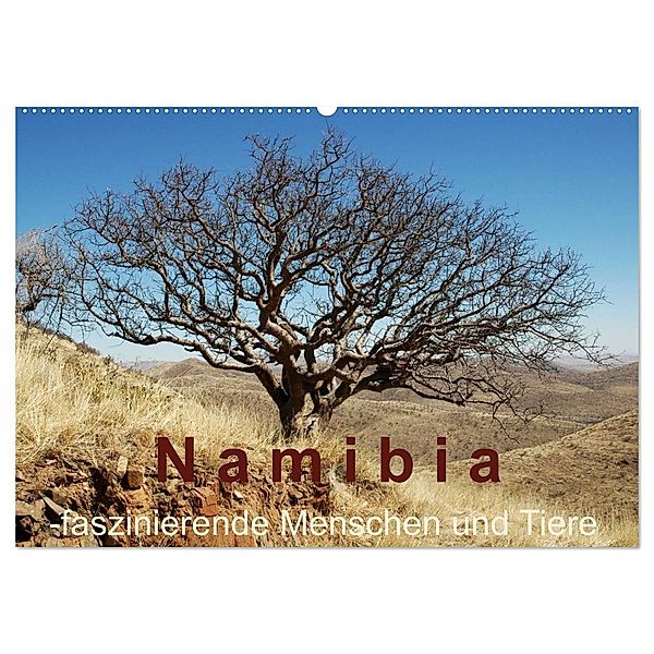 Namibia - faszinierende Menschen und Tiere (Wandkalender 2024 DIN A2 quer), CALVENDO Monatskalender, Brigitte Dürr