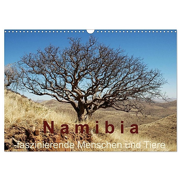 Namibia - faszinierende Menschen und Tiere (Wandkalender 2024 DIN A3 quer), CALVENDO Monatskalender, Brigitte Dürr
