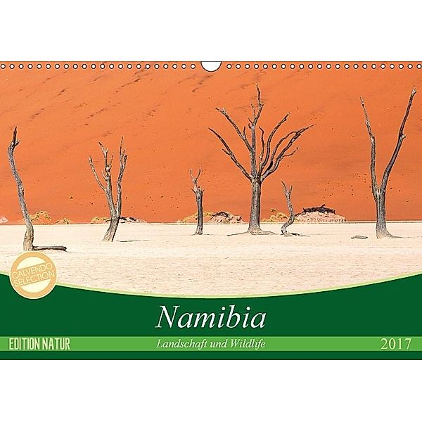 Namibia Landschaft und Wildlife (Wandkalender 2017 DIN A3 quer), Michele Junio