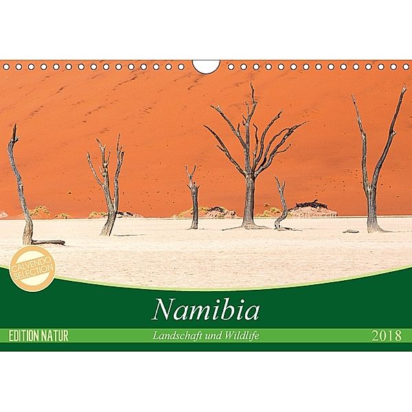 Namibia Landschaft und Wildlife (Wandkalender 2018 DIN A4 quer), Michele Junio