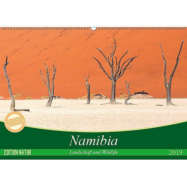 Namibia Landschaft und Wildlife (Wandkalender 2019 DIN A2 quer), Michele Junio