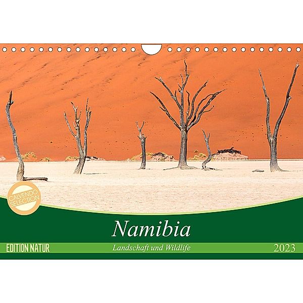 Namibia Landschaft und Wildlife (Wandkalender 2023 DIN A4 quer), Michele Junio