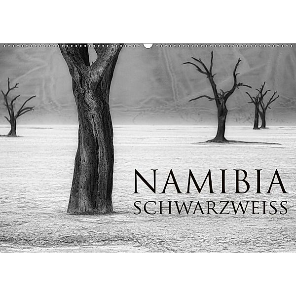Namibia schwarzweiß (Wandkalender 2020 DIN A2 quer), Michael Voß