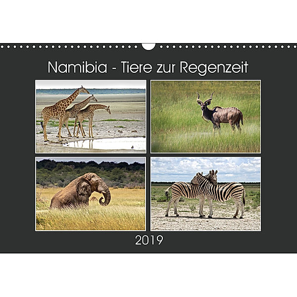 Namibia - Tiere zur Regenzeit 2019 (Wandkalender 2019 DIN A3 quer), © Mirko Weigt