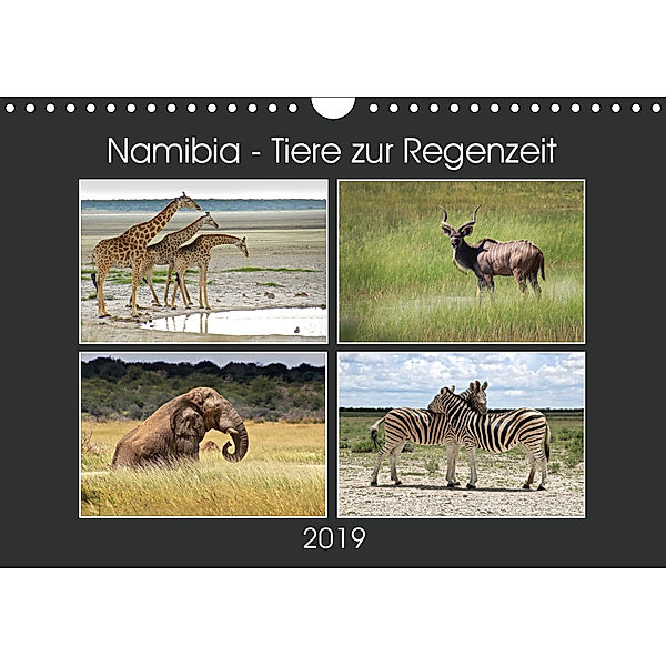 Namibia - Tiere zur Regenzeit 2019 (Wandkalender 2019 DIN A4 quer), © Mirko Weigt