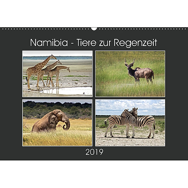 Namibia - Tiere zur Regenzeit 2019 (Wandkalender 2019 DIN A2 quer), © Mirko Weigt