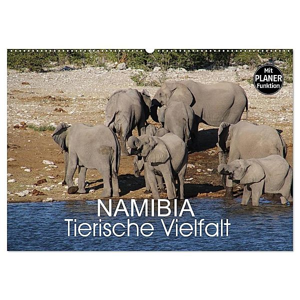 Namibia - Tierische Vielfalt (Planer) (Wandkalender 2025 DIN A2 quer), CALVENDO Monatskalender, Calvendo, Thomas Morper