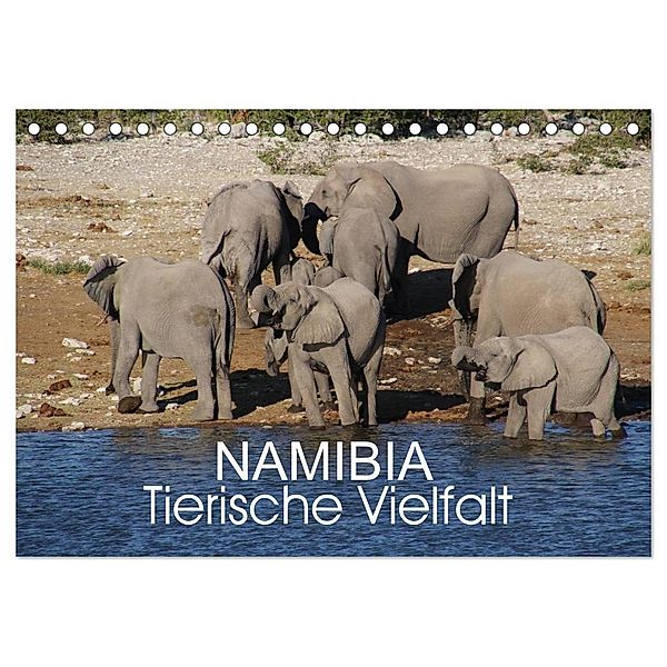 Namibia - Tierische Vielfalt (Tischkalender 2024 DIN A5 quer), CALVENDO Monatskalender, Thomas Morper