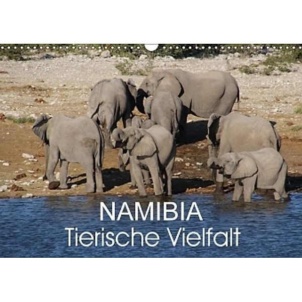 Namibia - Tierische Vielfalt (Wandkalender 2017 DIN A3 quer), Thomas Morper