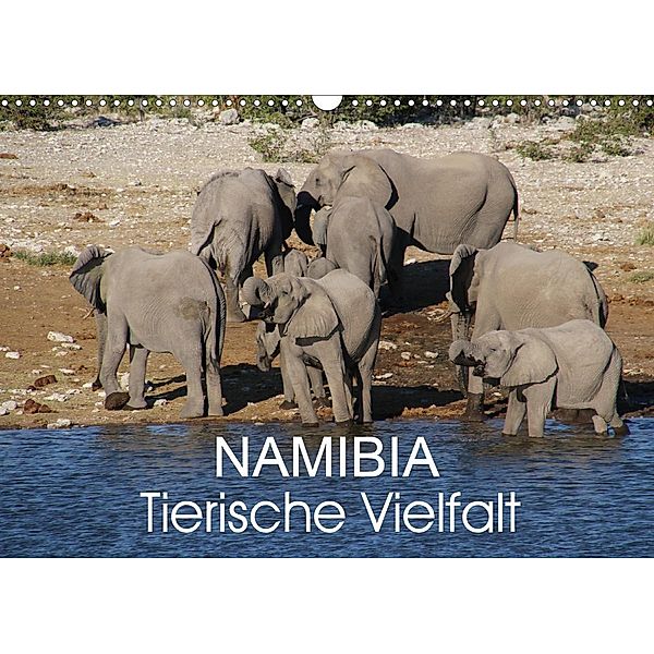 Namibia - Tierische Vielfalt (Wandkalender 2021 DIN A3 quer), Thomas Morper