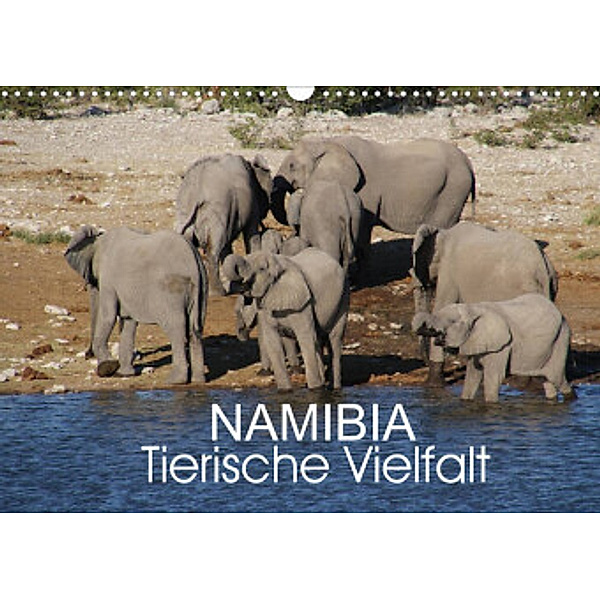 Namibia - Tierische Vielfalt (Wandkalender 2022 DIN A3 quer), Thomas Morper