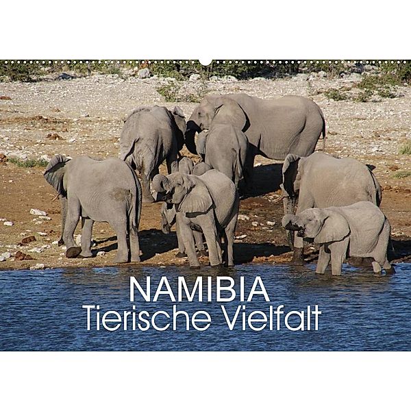 Namibia - Tierische Vielfalt (Wandkalender 2023 DIN A2 quer), Thomas Morper