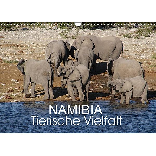 Namibia - Tierische Vielfalt (Wandkalender 2023 DIN A3 quer), Thomas Morper