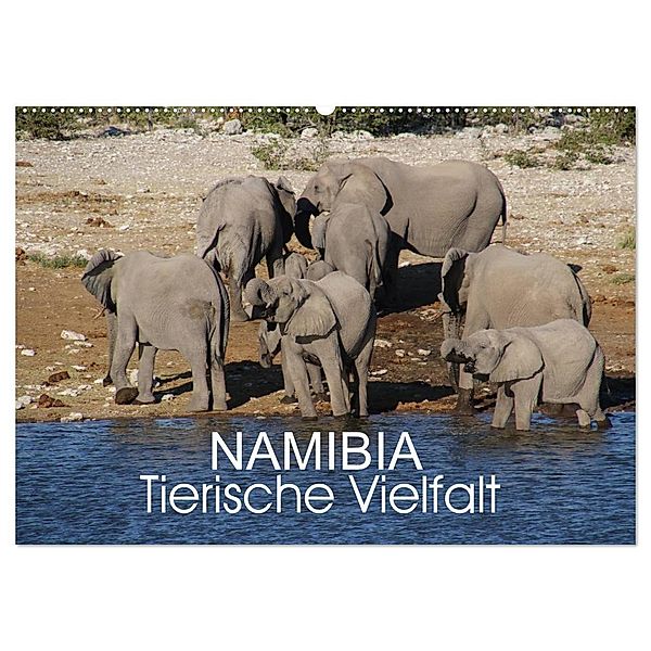 Namibia - Tierische Vielfalt (Wandkalender 2024 DIN A2 quer), CALVENDO Monatskalender, Thomas Morper