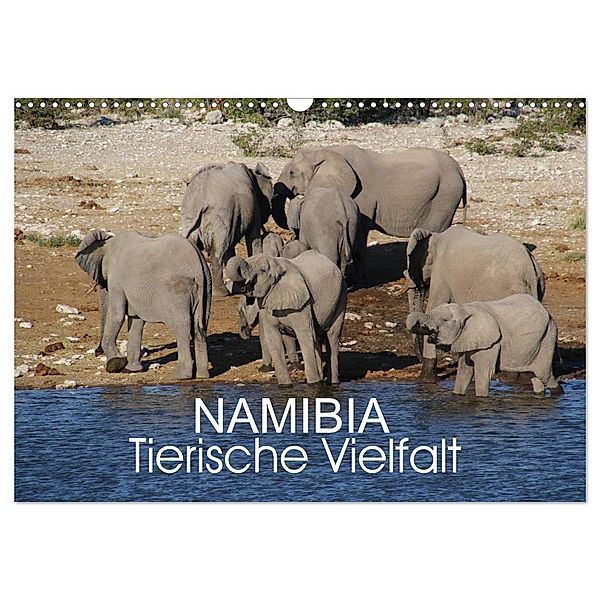 Namibia - Tierische Vielfalt (Wandkalender 2024 DIN A3 quer), CALVENDO Monatskalender, Thomas Morper