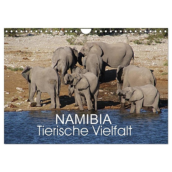 Namibia - Tierische Vielfalt (Wandkalender 2024 DIN A4 quer), CALVENDO Monatskalender, Thomas Morper