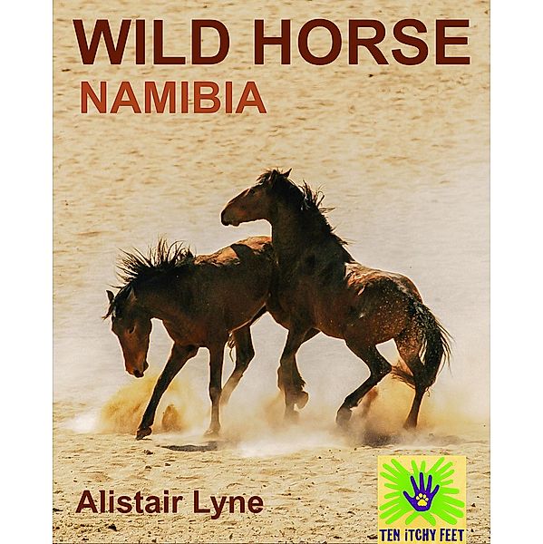 Namibia - Wild Horse, Alistair Lyne