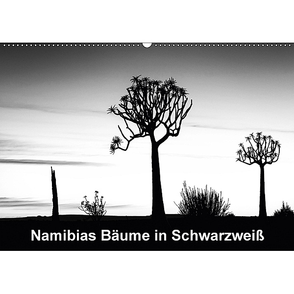 Namibias Bäume in Schwarzweiß (Wandkalender 2018 DIN A2 quer), Anne Berger