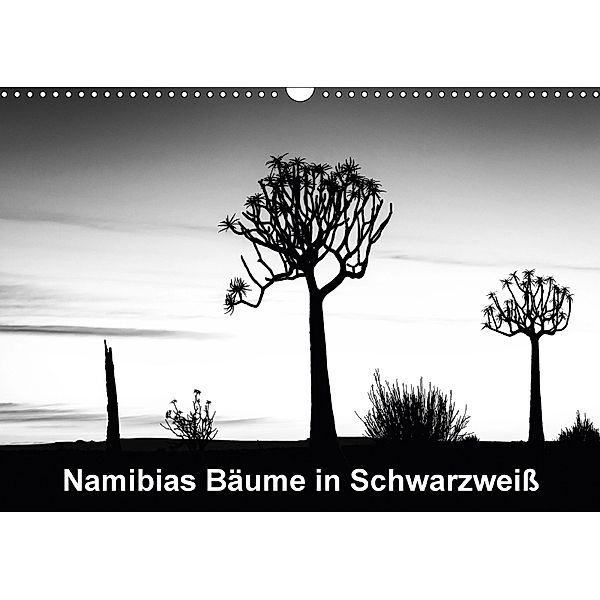 Namibias Bäume in Schwarzweiß (Wandkalender 2018 DIN A3 quer), Anne Berger